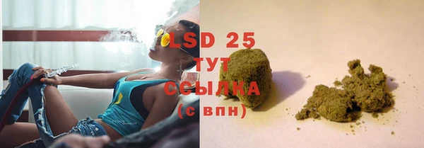 ECSTASY Алзамай