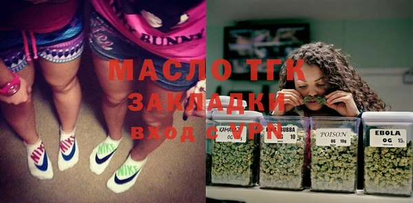 ECSTASY Алзамай